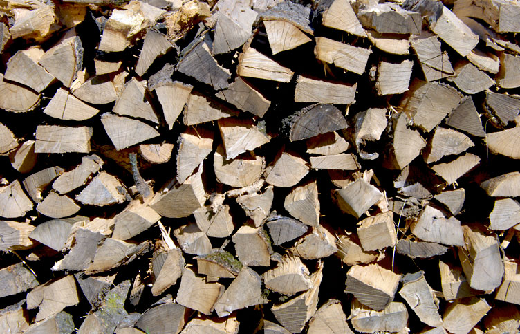 Brennholz zur Stocknutzung aus der nachhaltigen Waldwirtschaft Albrecht Konradsheim